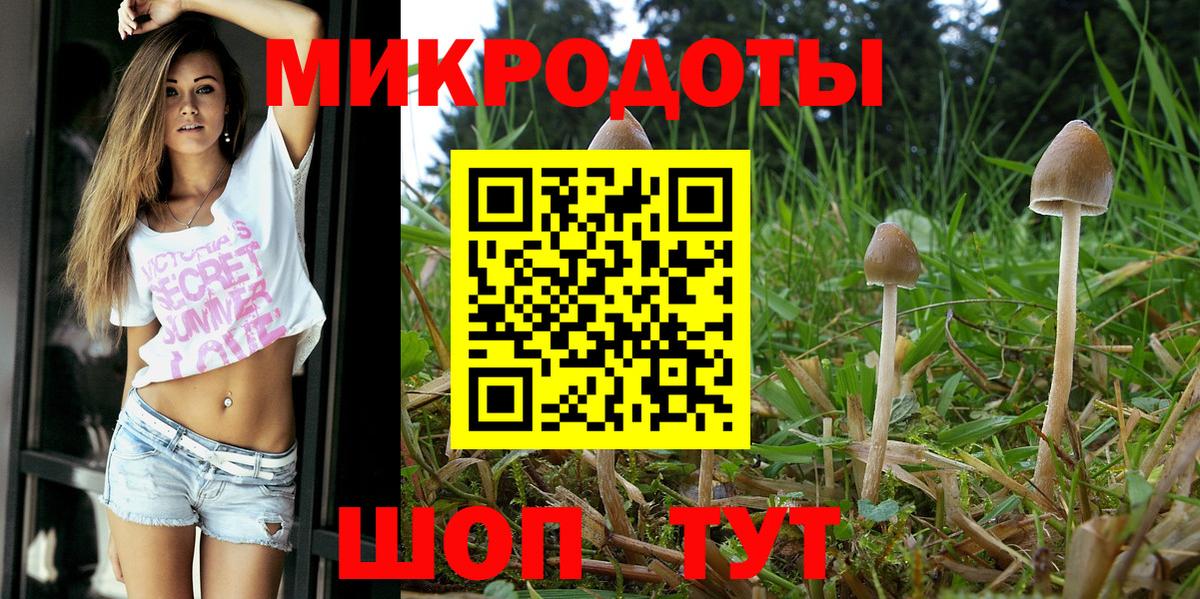 Галлюциногенные грибы ЛСД Осинники