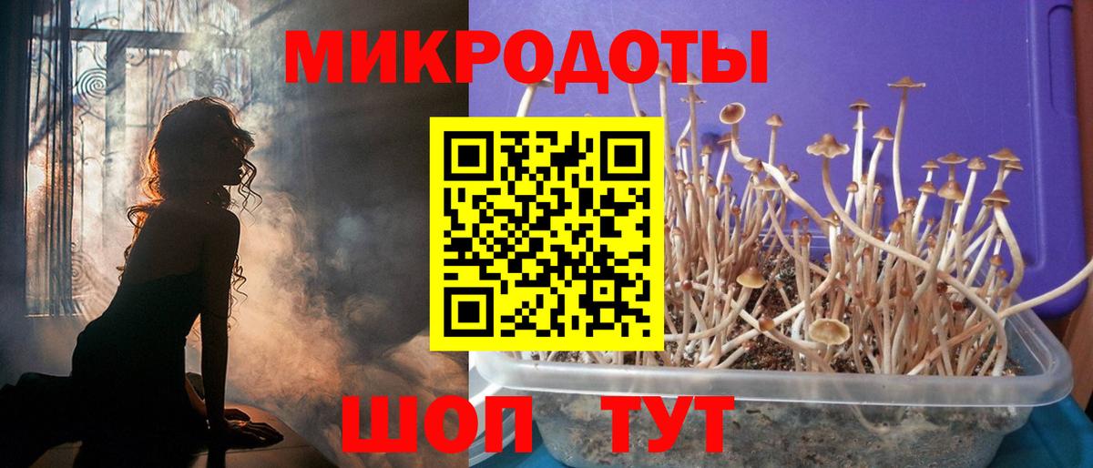 Галлюциногенные грибы Magic Shrooms  Вход с VPN  Осинники 